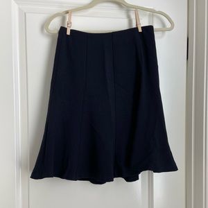Ann Taylor skirt